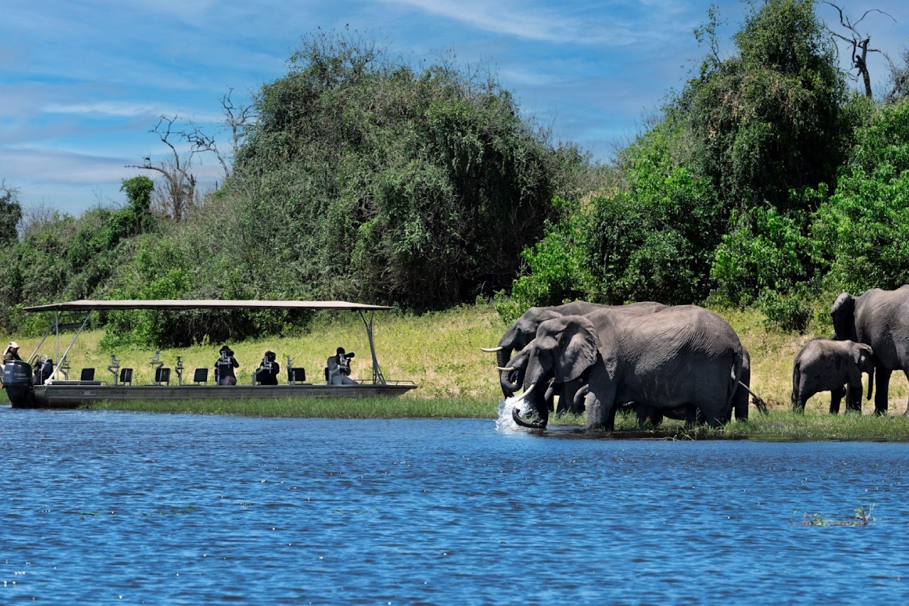 Chobe National Park Day Trip