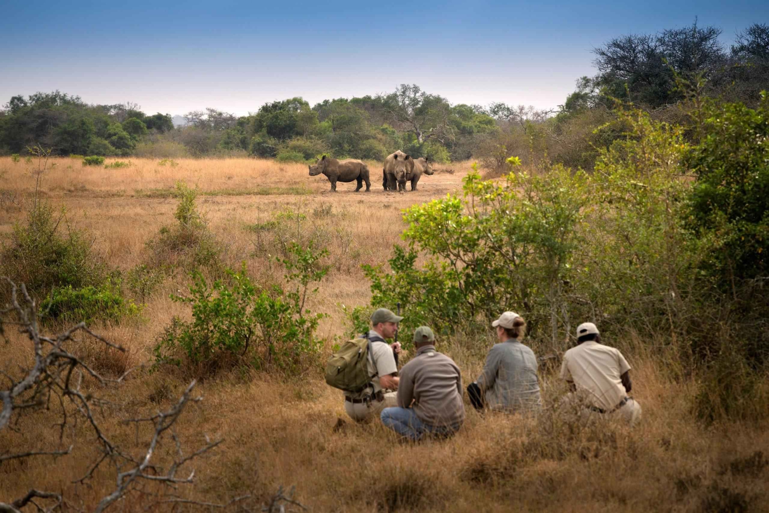 Walking Safaris
